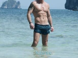 Nattenino