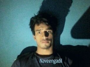 Naveengadil