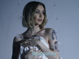 Nesolamaisone