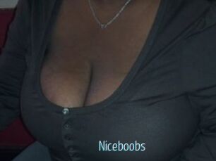 Niceboobs