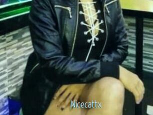 Nicecattx