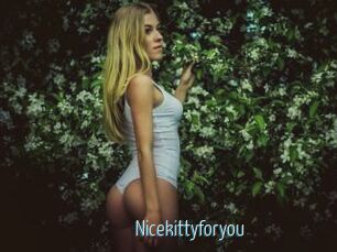Nicekittyforyou