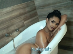 nicollegrantt Video Sexe