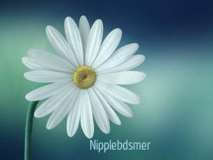 Nipplebdsmer