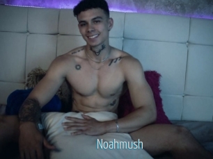 noahmush Video Sexe
