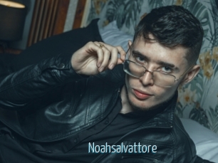 Noahsalvattore