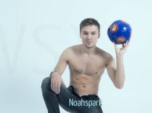 Noahspark