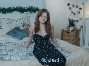 Norareed