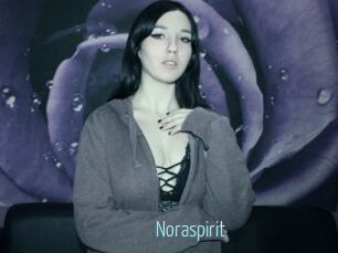Noraspirit