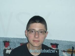 Norbertobadzso