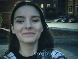 Noreenborer