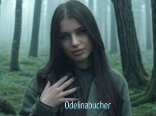 Odelinabucher