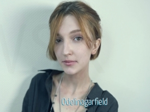 Odelinagarfield