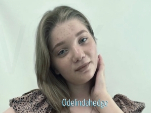 Odelindahedge