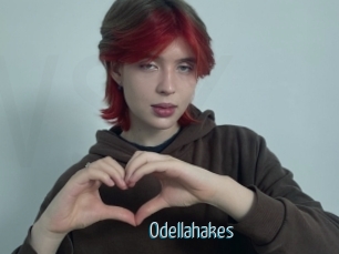 Odellahakes