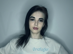 Orvafugler