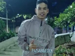 PAISABIGCOCK