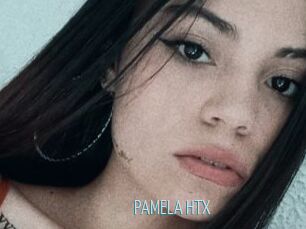 PAMELA_HTX