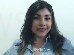 PAMELA_zv