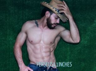 PERSEUS11INCHES