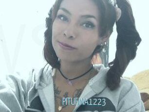 PITUFINA1223