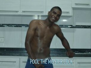 POOL_THE_MOSTER_COCK