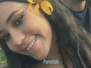 Pamela6