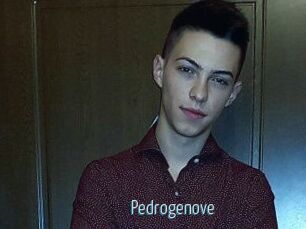 Pedrogenove