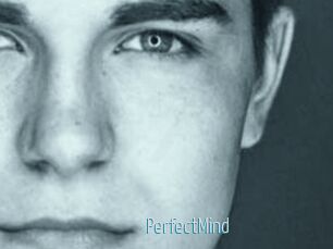 PerfectMind