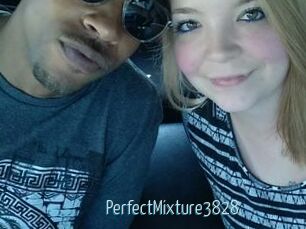 PerfectMixture3828