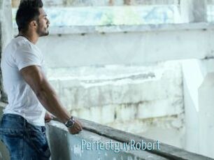 PerfectguyRobert
