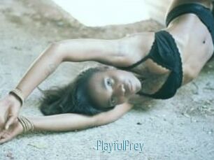 PlayfulPrey