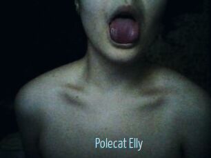 Polecat_Elly