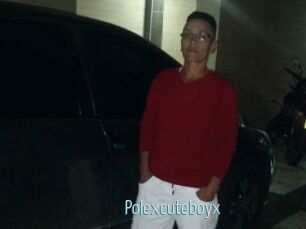 Polexcuteboyx