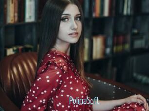 PolinaSoft