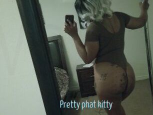 Pretty_phat_kitty