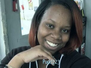 Pudd123