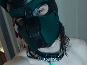 Pup_Samson