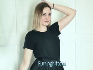 Purringkittene