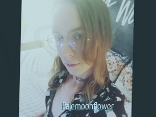 Palemoonflower