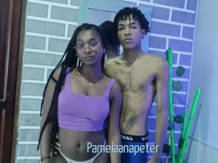 Pamelaanapeter