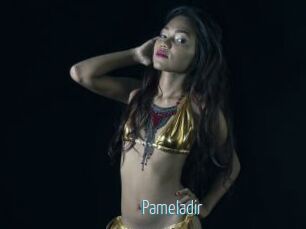 Pameladir