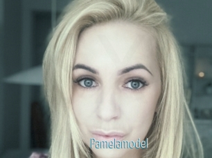 Pamelamodel