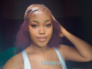 Pamelarein