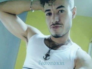 Pedromancini