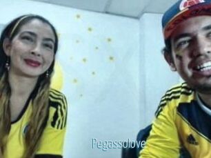 Pegasso_love