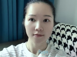 Penjin