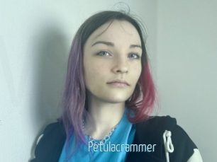 Petulacrammer