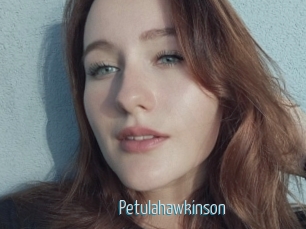 Petulahawkinson
