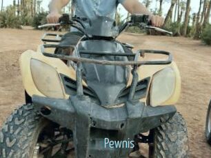 Pewnis